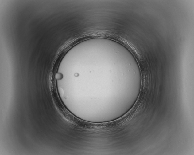 X0000116620682200912110941