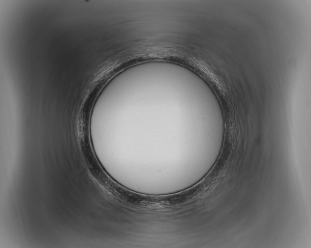 X0000116620683200912110941