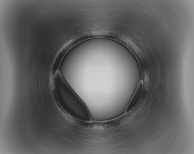 X0000116620684200912110941