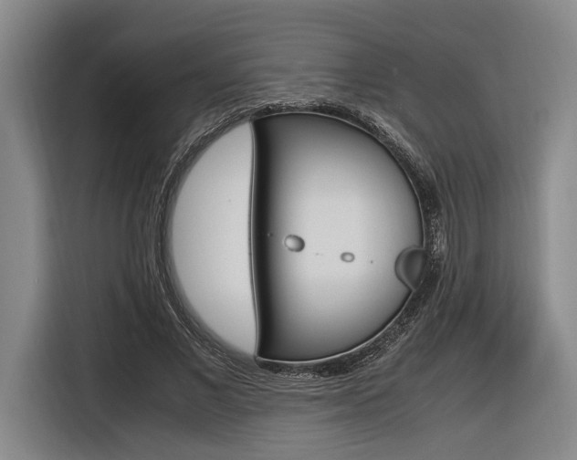 X0000116620685200912110941