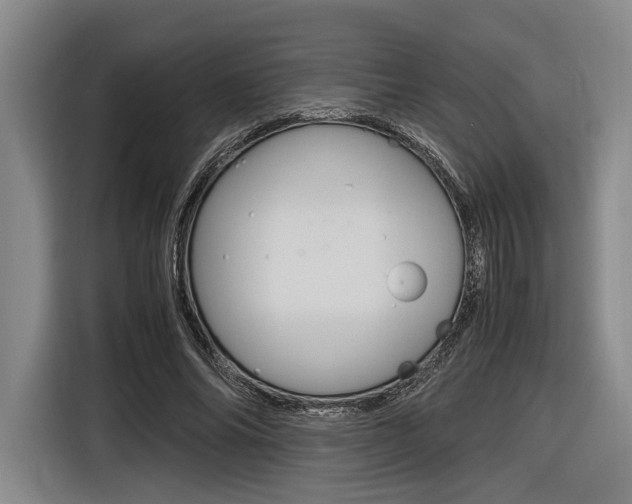 X0000116620686200912110941