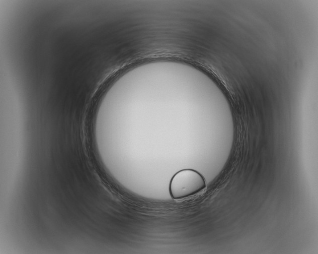 X0000116620688200912110941