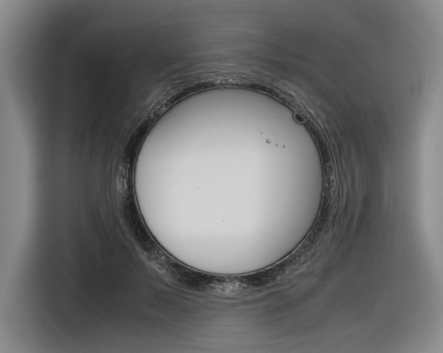 X0000116620695200912110941