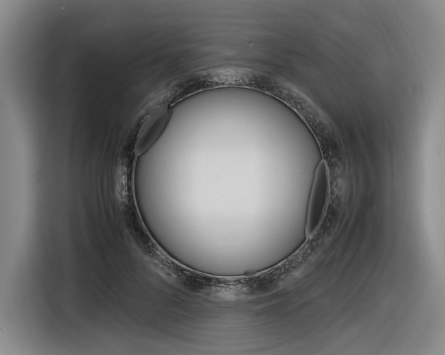X0000116620696200912110941