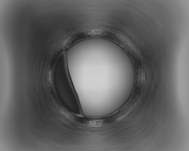 X0000116620700200912110941