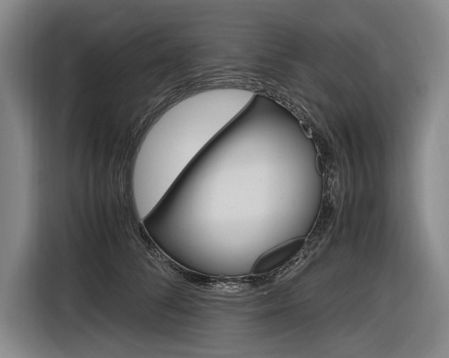 X0000116620708200912110941