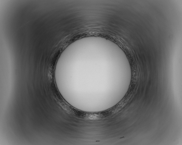 X0000116620710200912110941