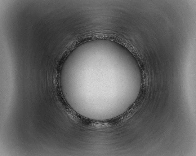 X0000116620712200912110941