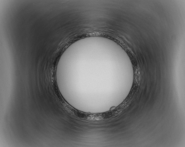 X0000116620714200912110941