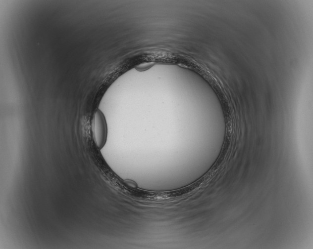 X0000116620715200912110941
