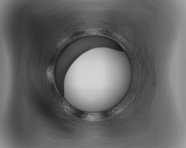 X0000116620720200912110941