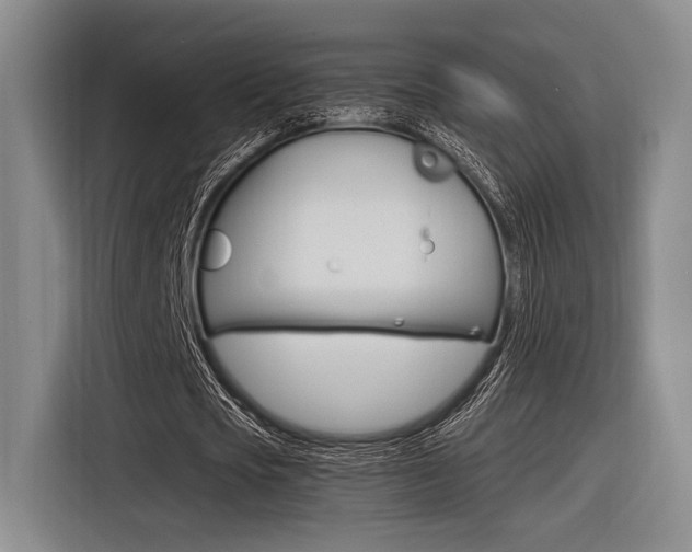 X0000116620721200912110940