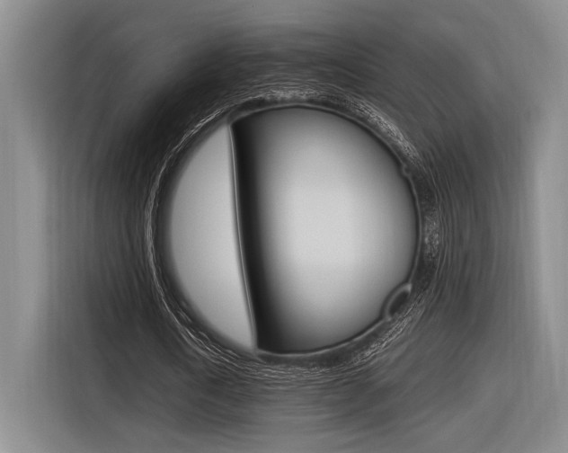 X0000116620722200912110940