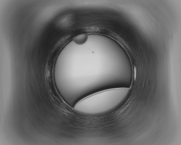 X0000116620723200912110940
