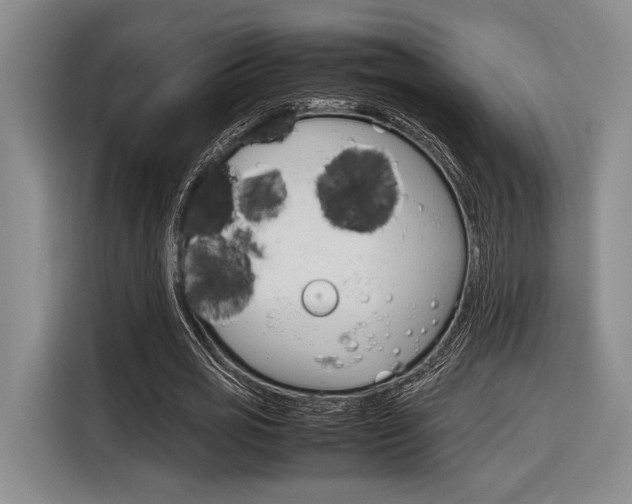 X0000116620725200912110940
