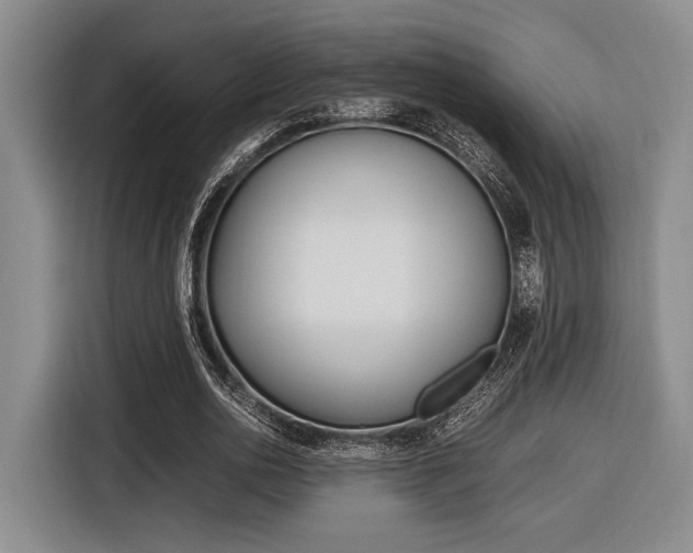 X0000116620726200912110940