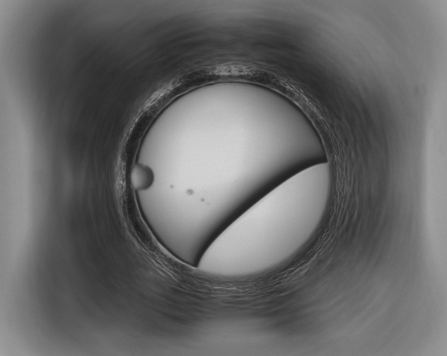 X0000116620727200912110940