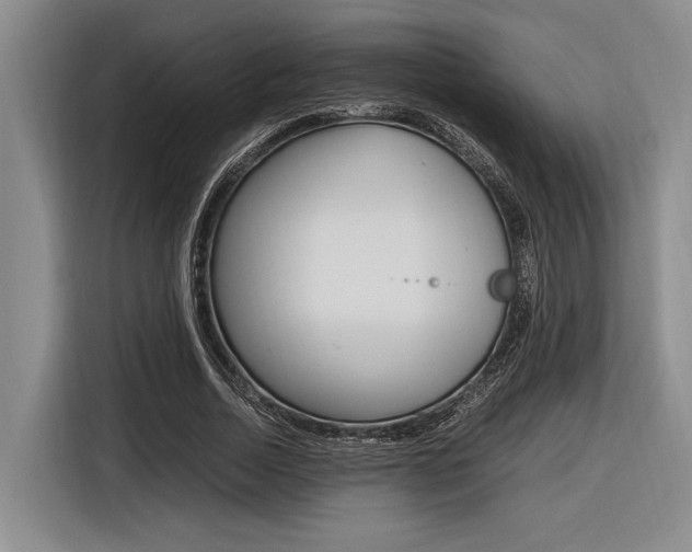 X0000116620730200912110940