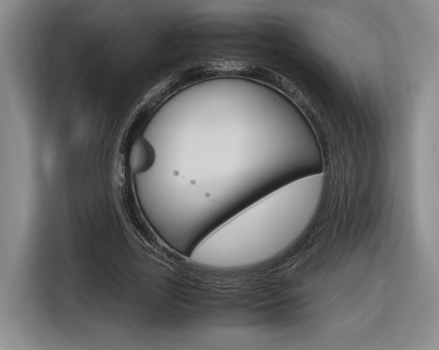 X0000116620731200912110940