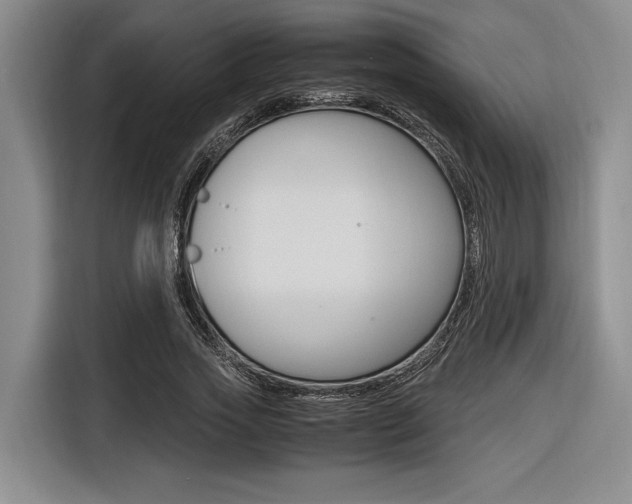 X0000116620733200912110940