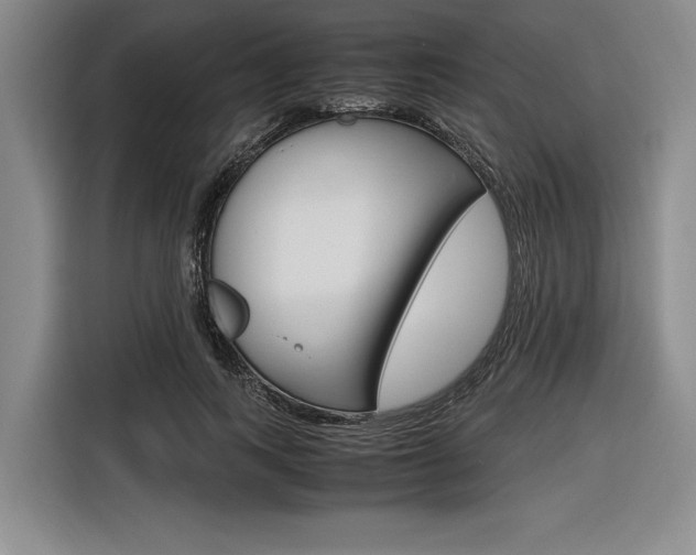 X0000116620743200912110940