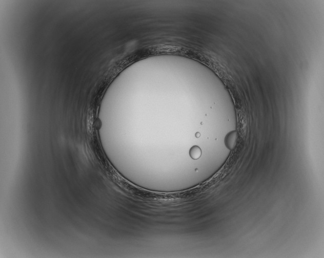 X0000116620745200912110940