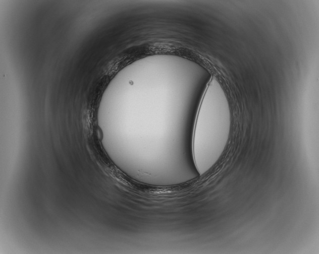 X0000116620759200912110940