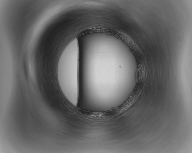 X0000116620762200912110941