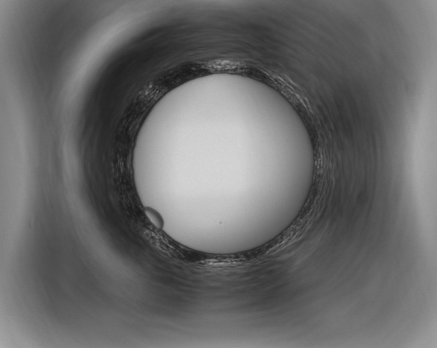 X0000116620763200912110941