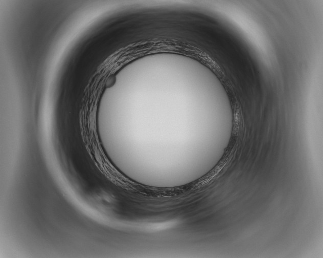 X0000116620765200912110941