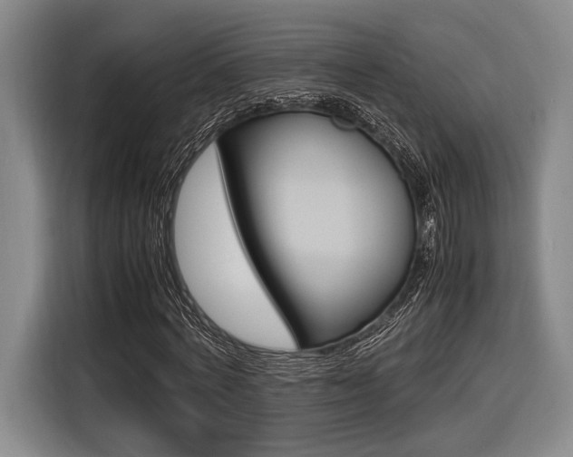 X0000116620772200912110940