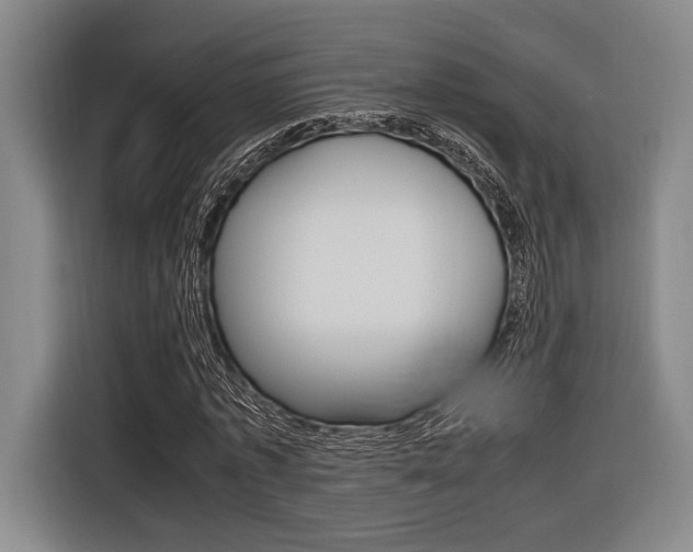 X0000116620773200912110940
