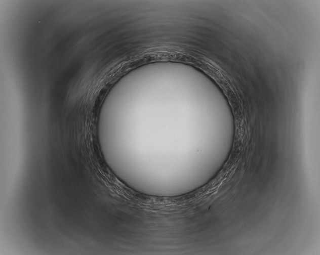 X0000116620774200912110940