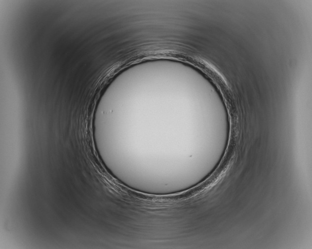 X0000116620777200912110940