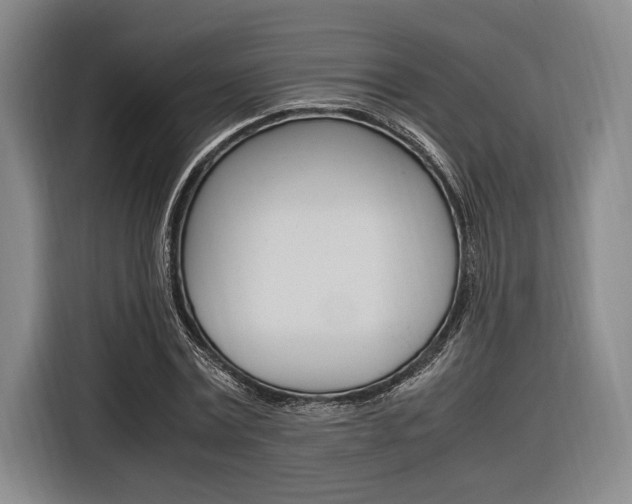 X0000116620779200912110940