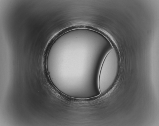 X0000116620783200912110940