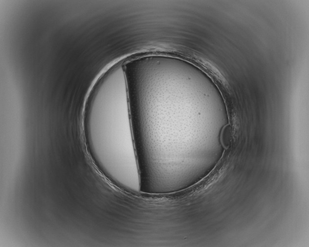 X0000116620784200912110940