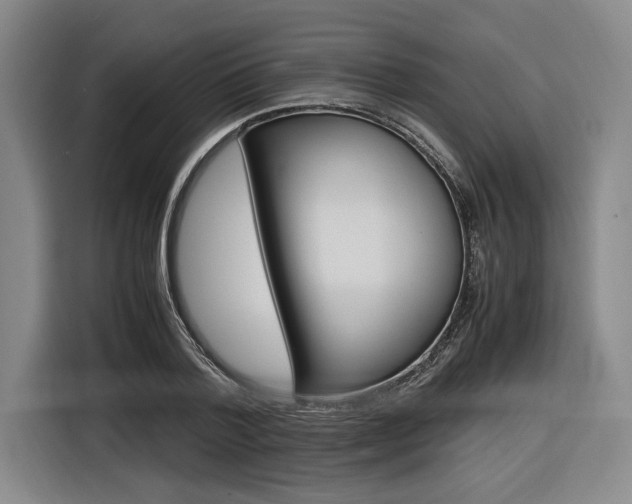 X0000116620788200912110940