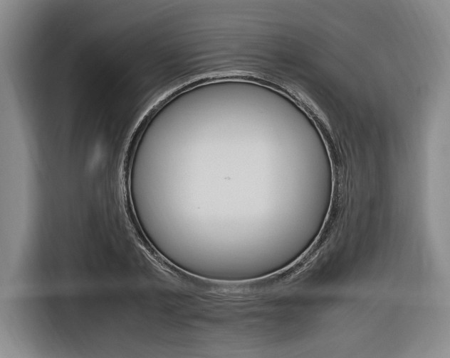 X0000116620789200912110940