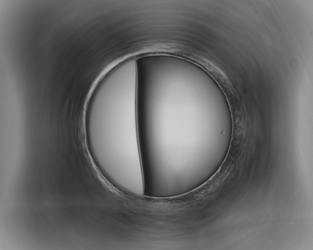 X0000116620792200912110940