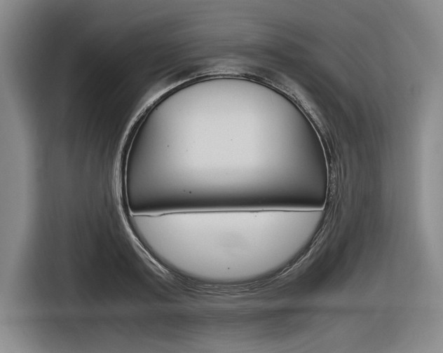 X0000116620795200912110940