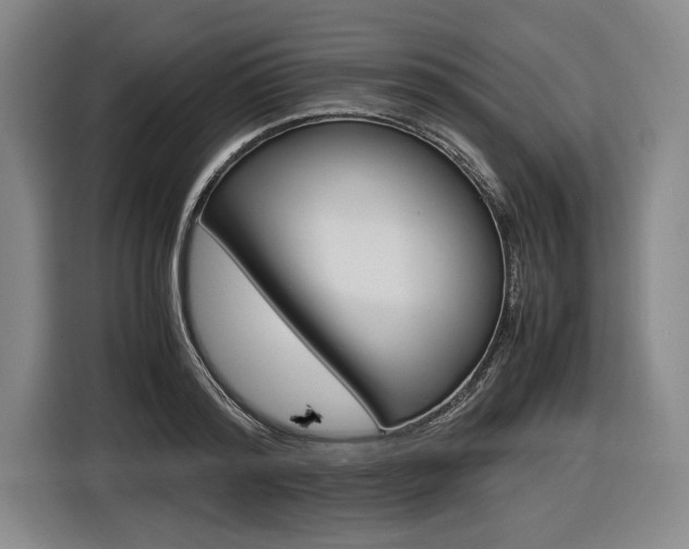 X0000116620796200912110940