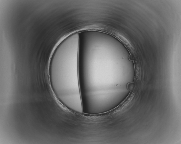 X0000116620800200912110940