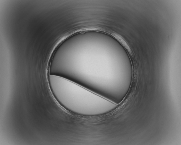 X0000116620805200912110939