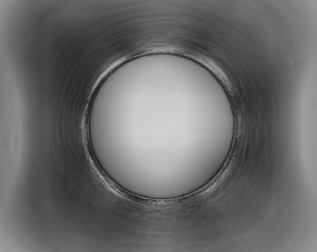 X0000116620806200912110939