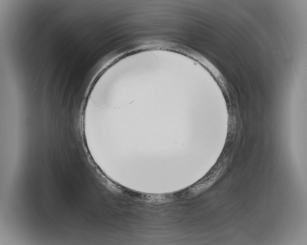 X0000116620807200912110939