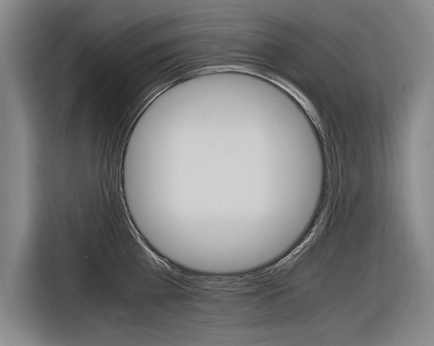 X0000116620809200912110939