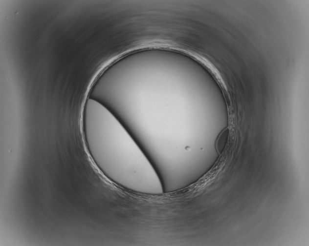 X0000116620815200912110939