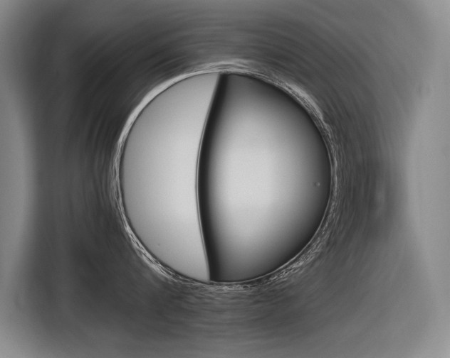 X0000116620816200912110939