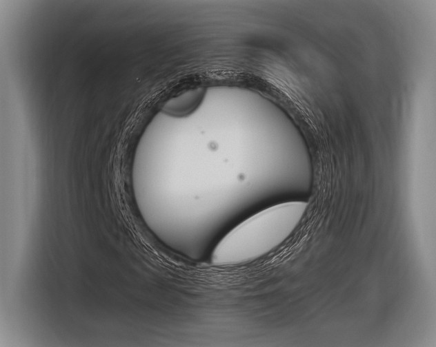 X0000116620817200912110939